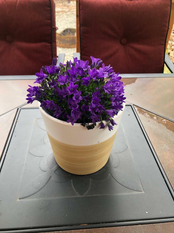 Villa Peaceful Talkeetna Getaway #3 Esterno foto